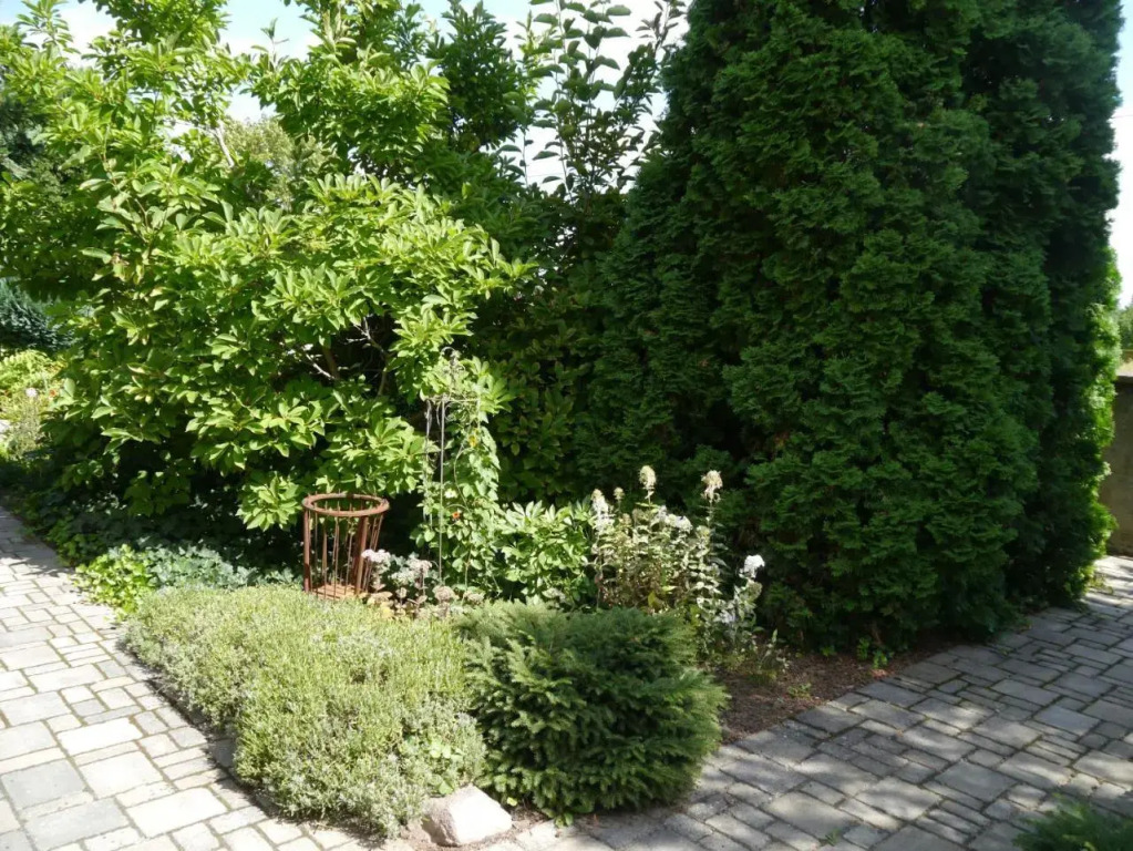 Ferienwohnung im Neubauernweg 3