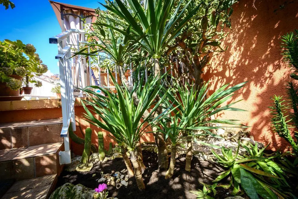 Apartment Gina - Dubrovnik