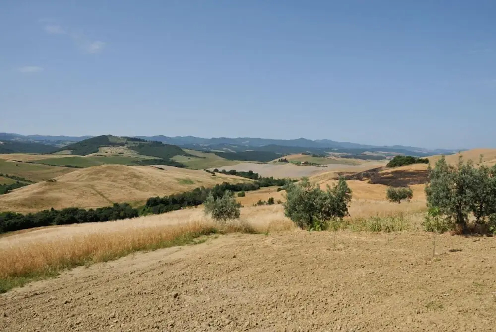 Agriturismo Mannaioni