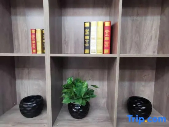 TRUE GO Hotel X (Beijing Guomao Sihui Subway Station)