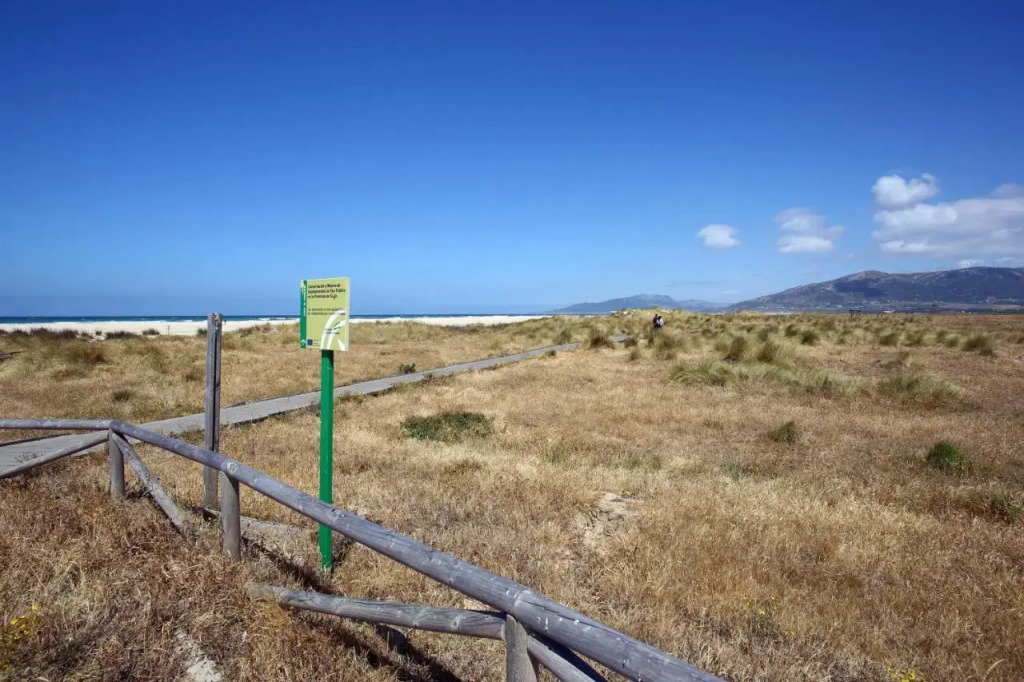 Surfing Tarifa 23
