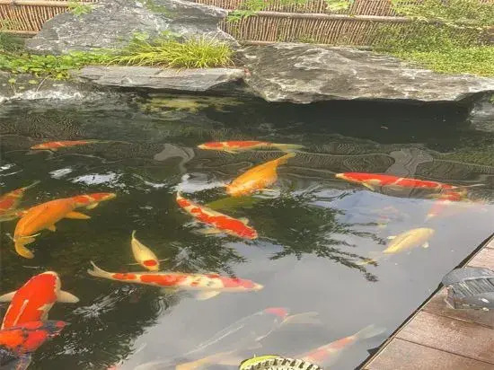 Landison Retreat Deqing Huzhou