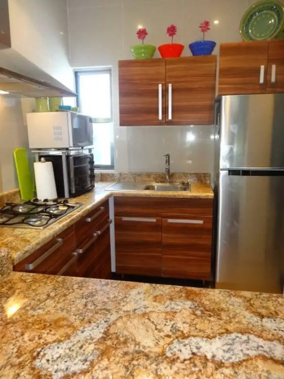 Mi Casa-2 Br Ph + private roof top near to Coco Beach -Great Deal!