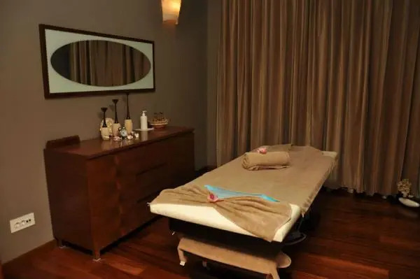 Celik Palas Hotel Bursa