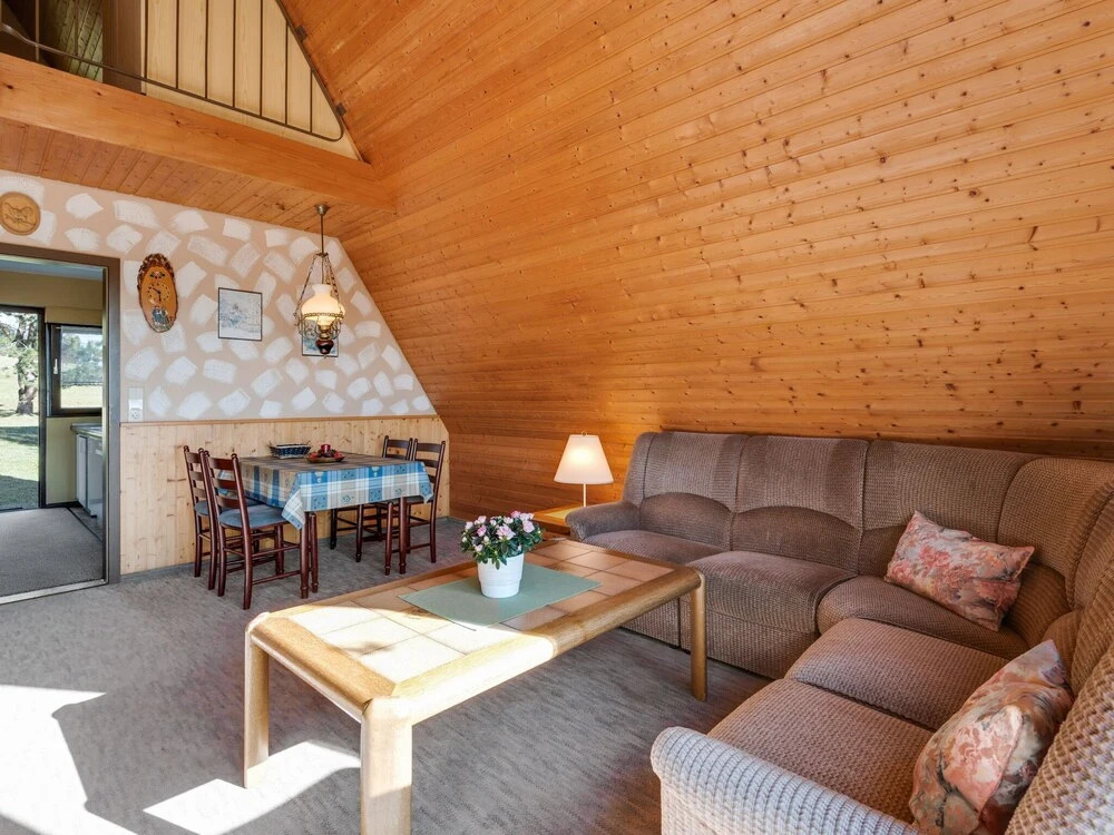 Detached House in a Holiday Park in the Hotzenwald With Terrace and Garden