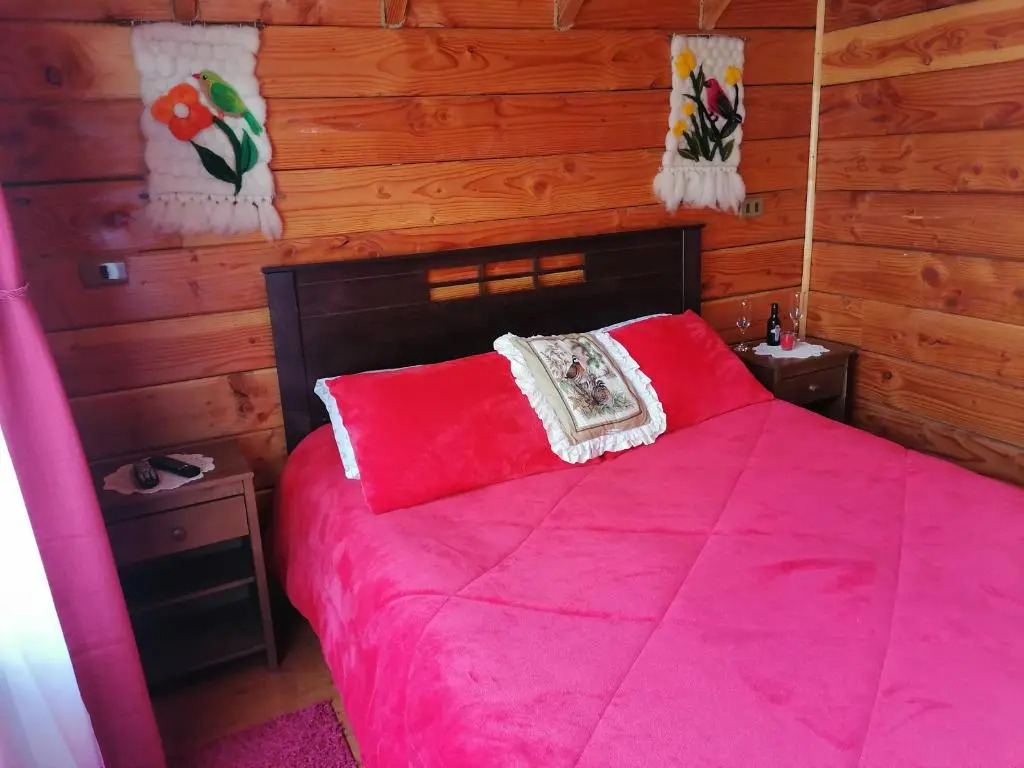 Cabañas El Diuco en Coñaripe 4