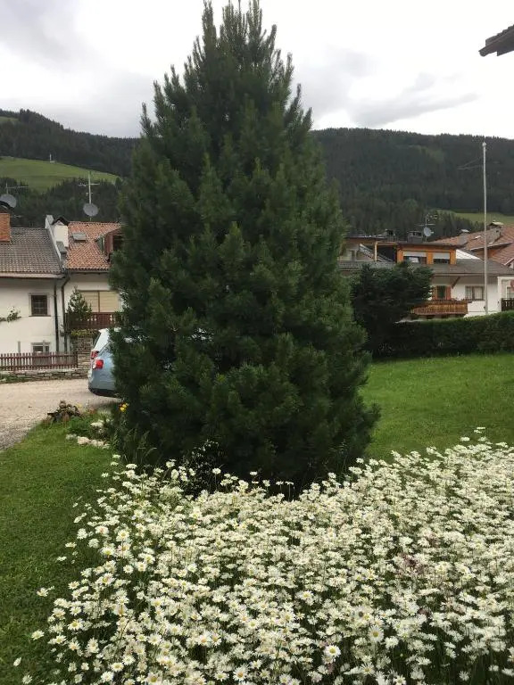 Haus Michael
