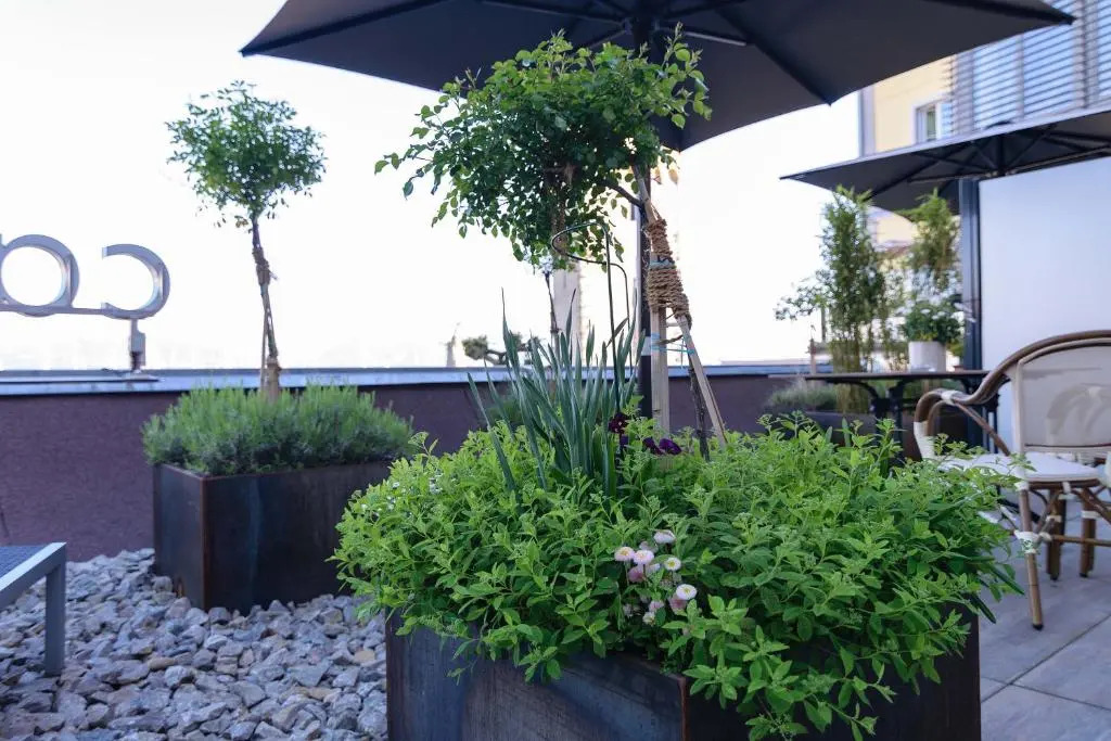 Apartment Hotel Schreier