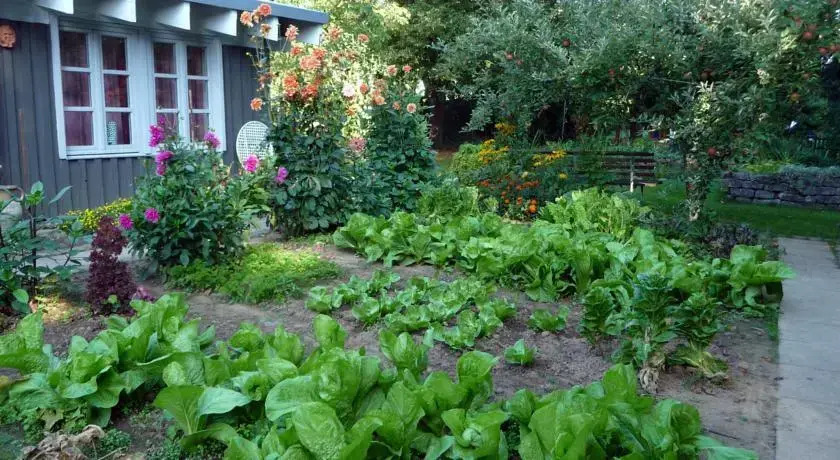 Ferienhaus Gartenlust