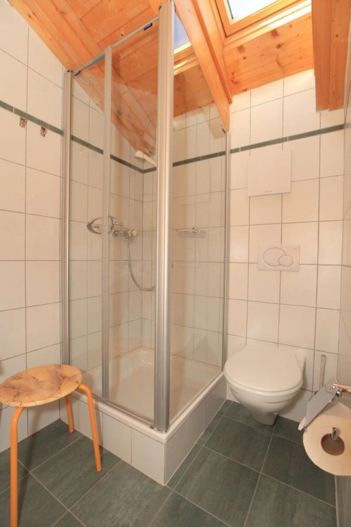 Apartment Fénestral 301 by Interhome