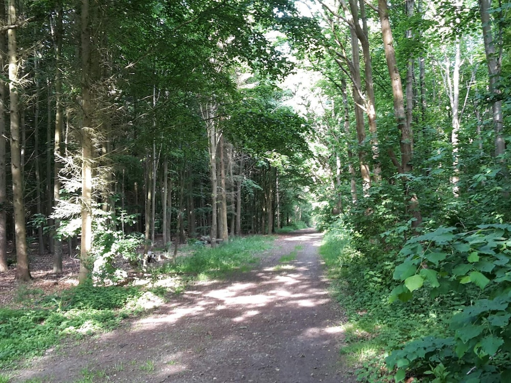 10 Person Holiday Home in Marstal