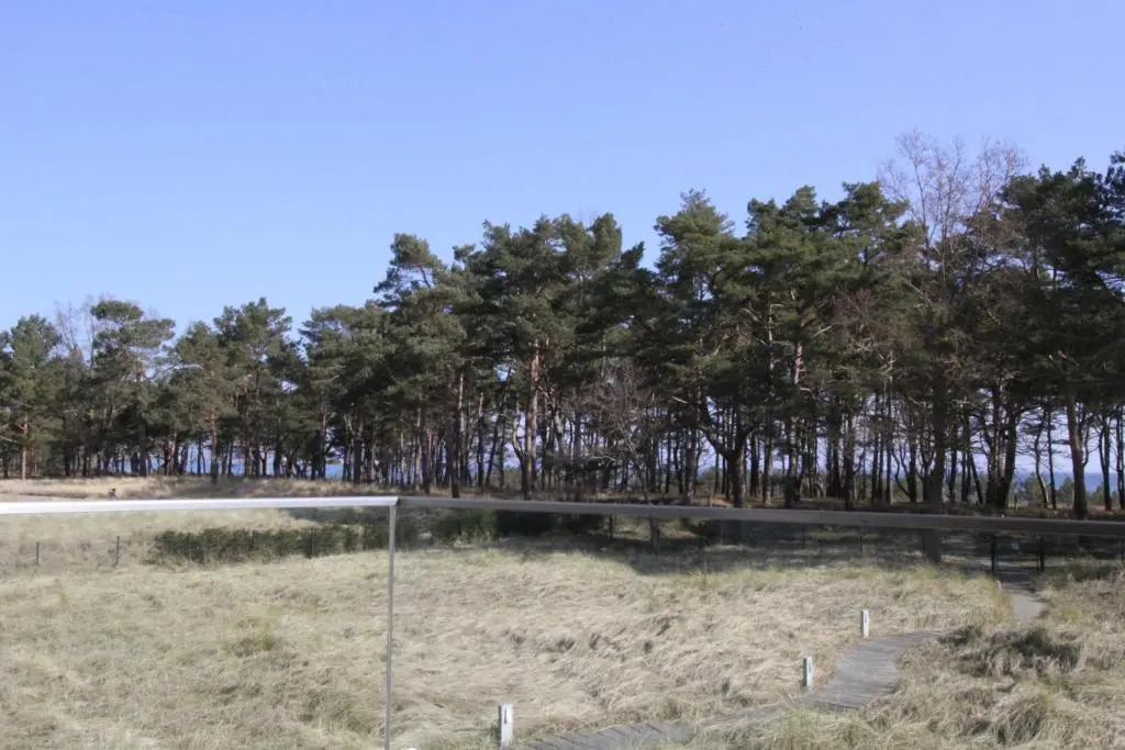 Strandresidenz Appartement Graugans A06 inklusive 1 Strandkorb