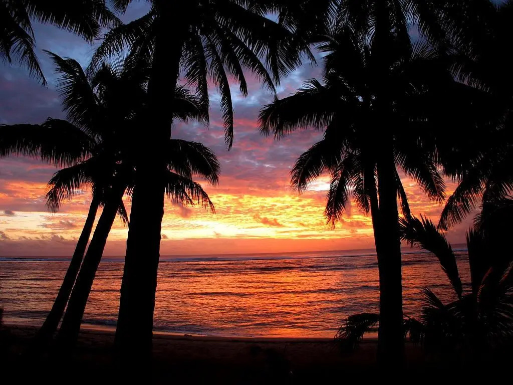 Sunhaven Beach Bungalows