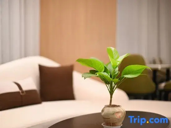 Yaste International Hotel (Beijing Daxing Xingguang Film Park)