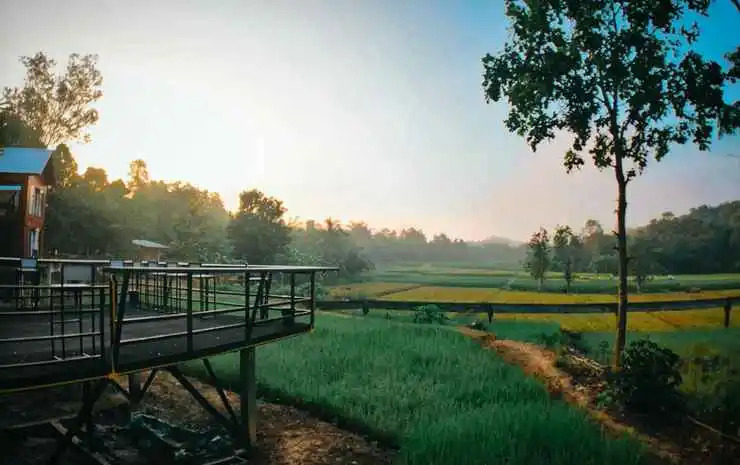 Earth House Pua