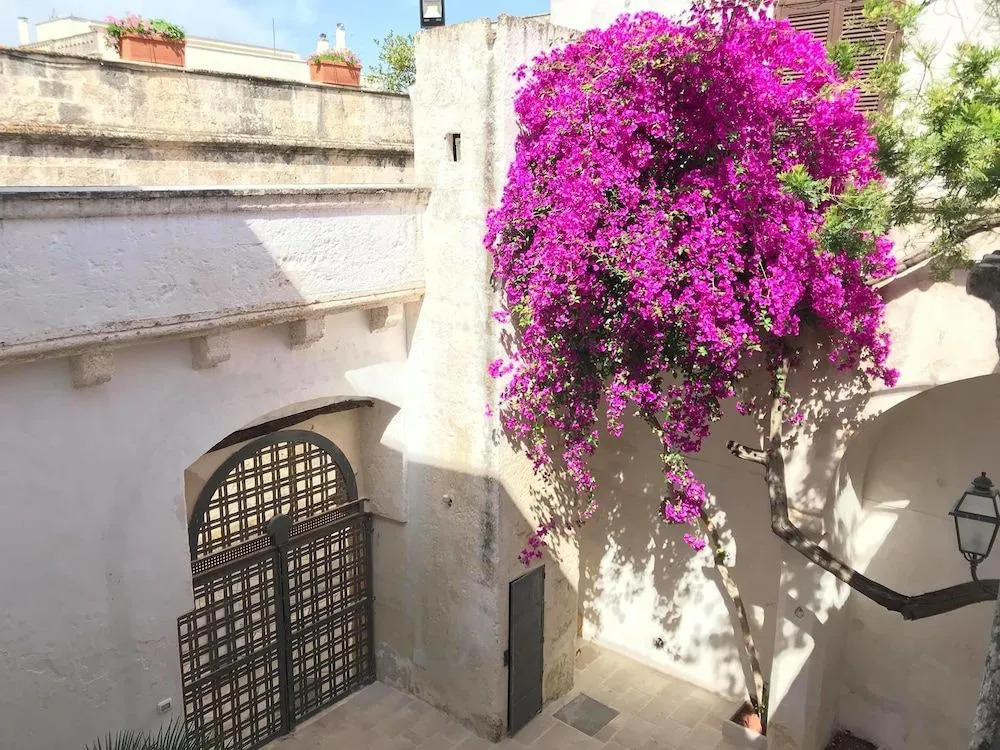 La Corte dei Mille