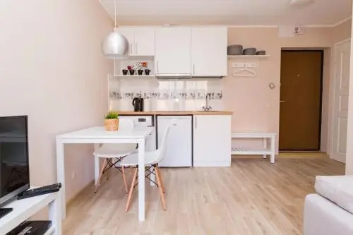 Vilnius oldtown apartment