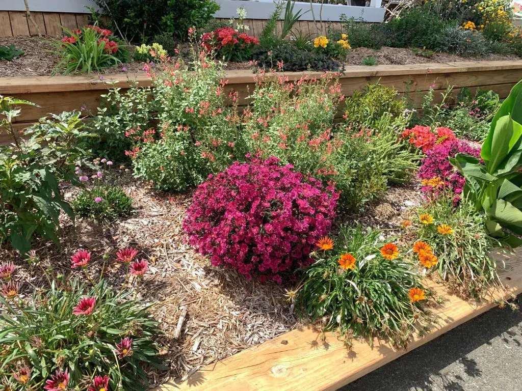 Tracys Boutique B&B Farmstay