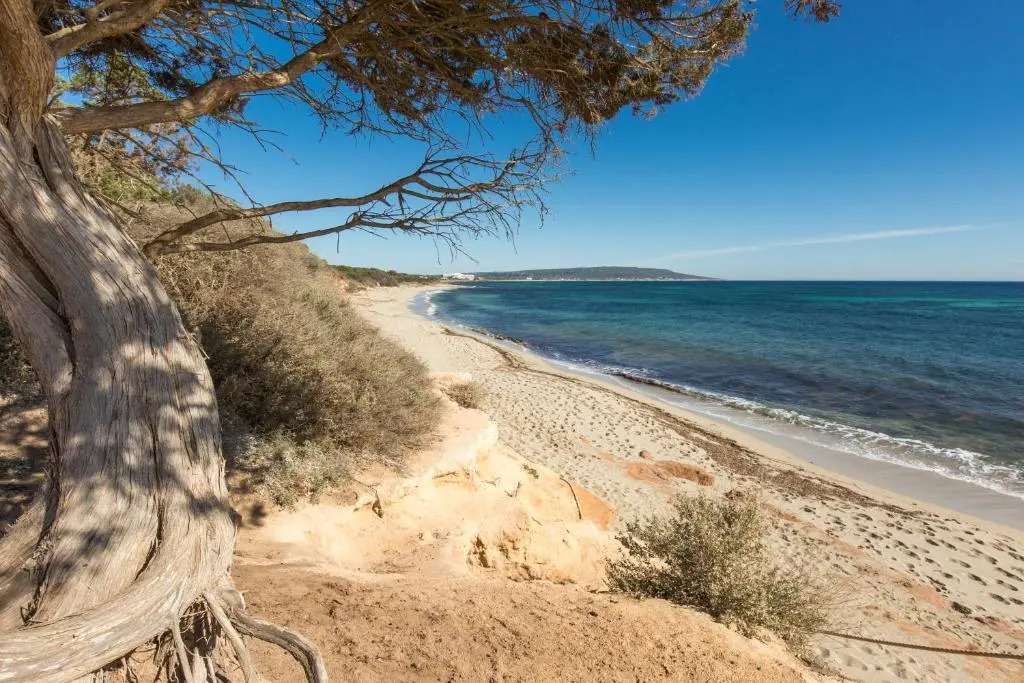 Residence Can Confort Formentera