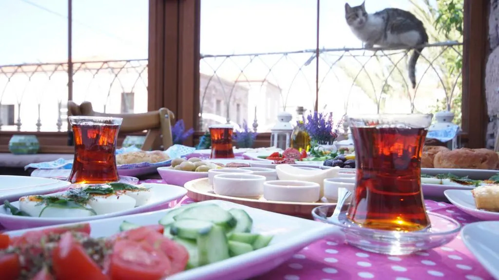 Fikret Bey Konagi