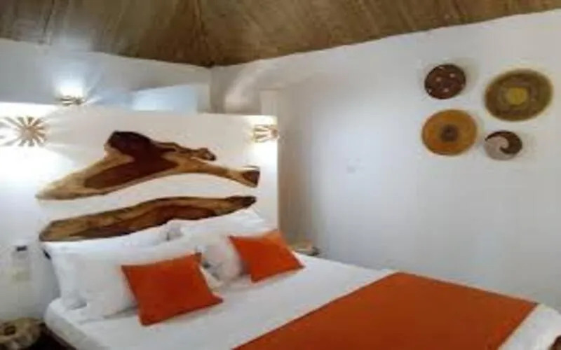 La Palmaraie de Ngor