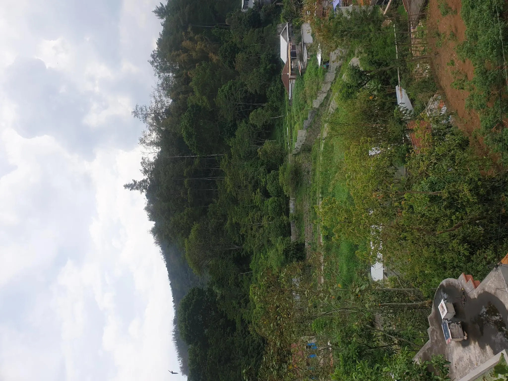 Villa Bugenville Songgoriti