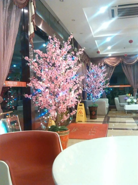 Nanning Hawks Holiday Hotel