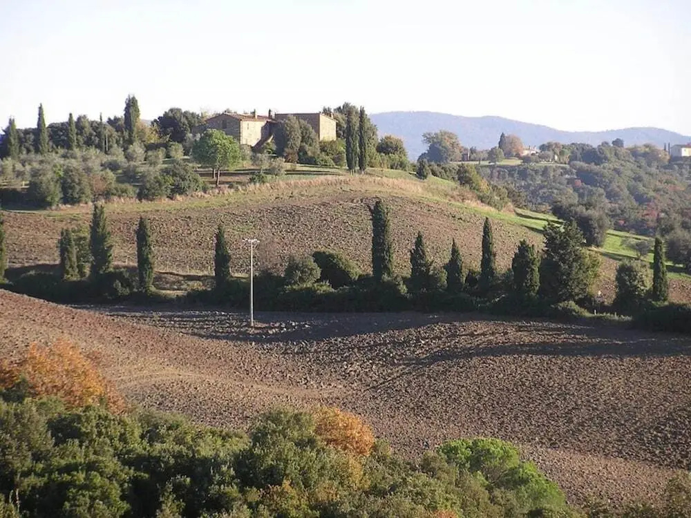 Isola Delle Api