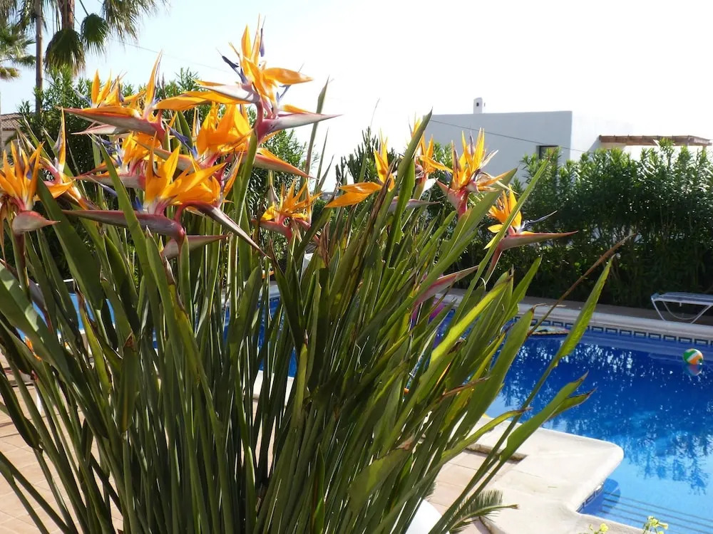 Villa With 4 Bedrooms in Jávea, With Private Pool, Enclosed Garden and