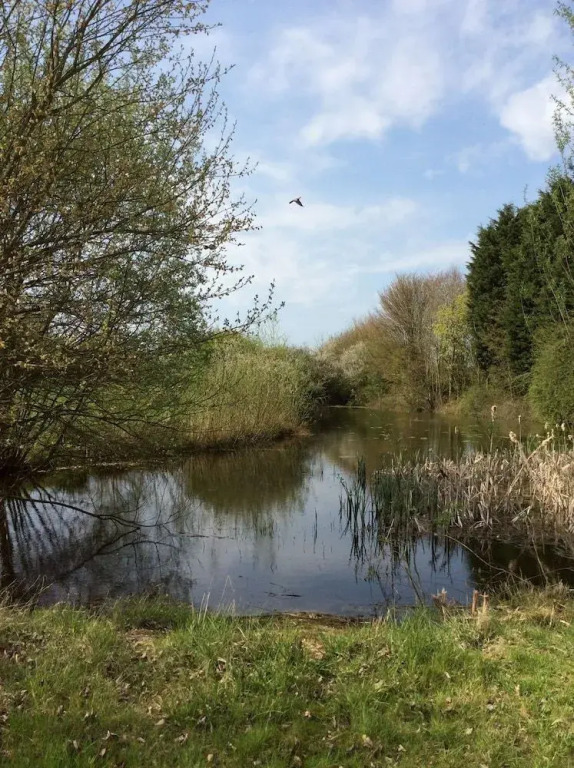 Waldegrave farm