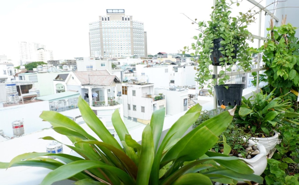 WillHome Hostel