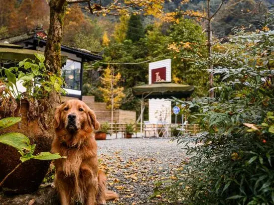 Qingcheng Mountain Moan Qingcheng Tangquan View B&B