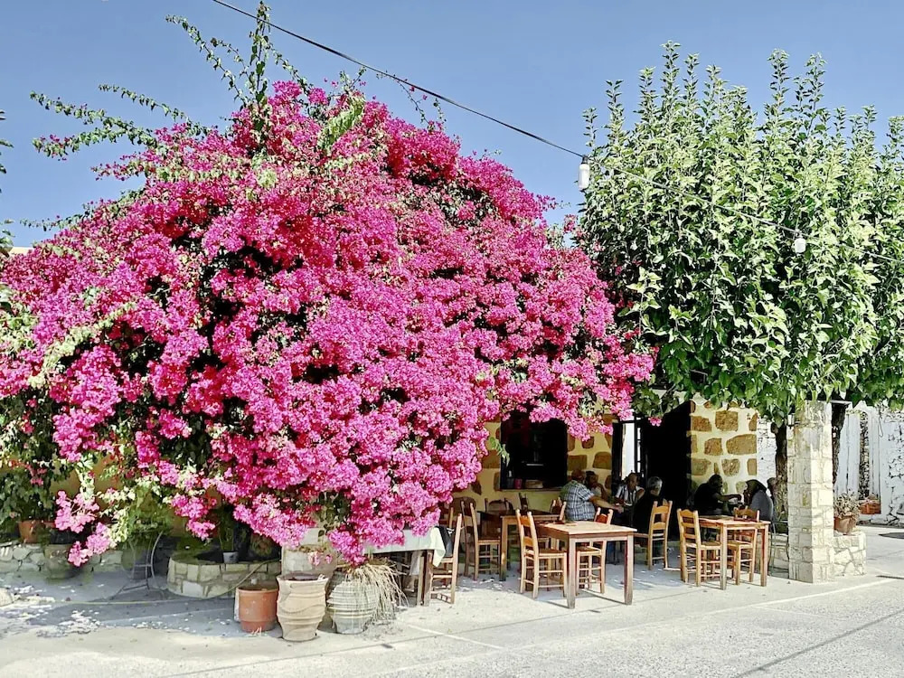 Villa Artemis Vryses Crete