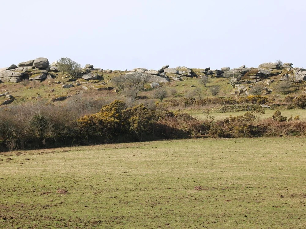 Badgers Sett