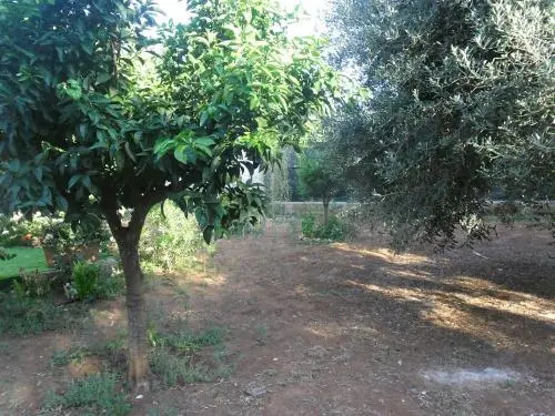 Monolocale da Anna