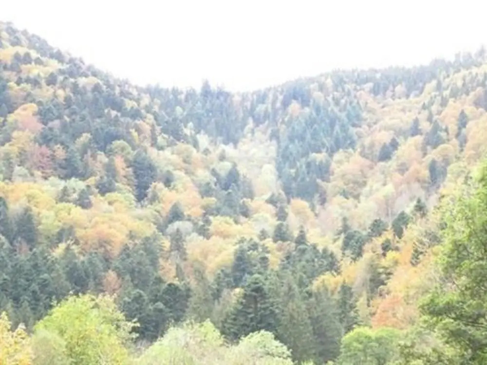 Gasthaus Kreuz