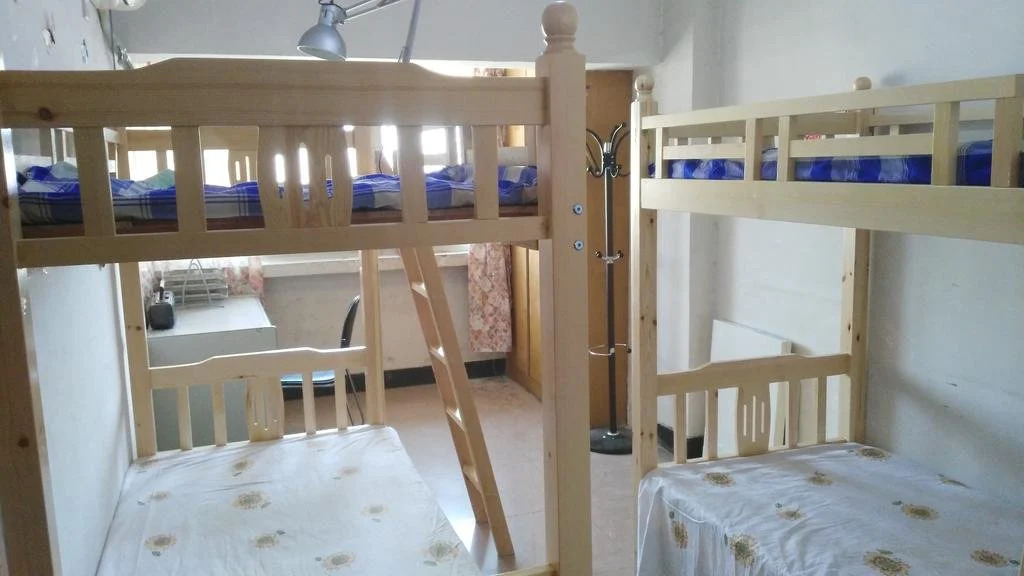 Backpacker Youth Hostel