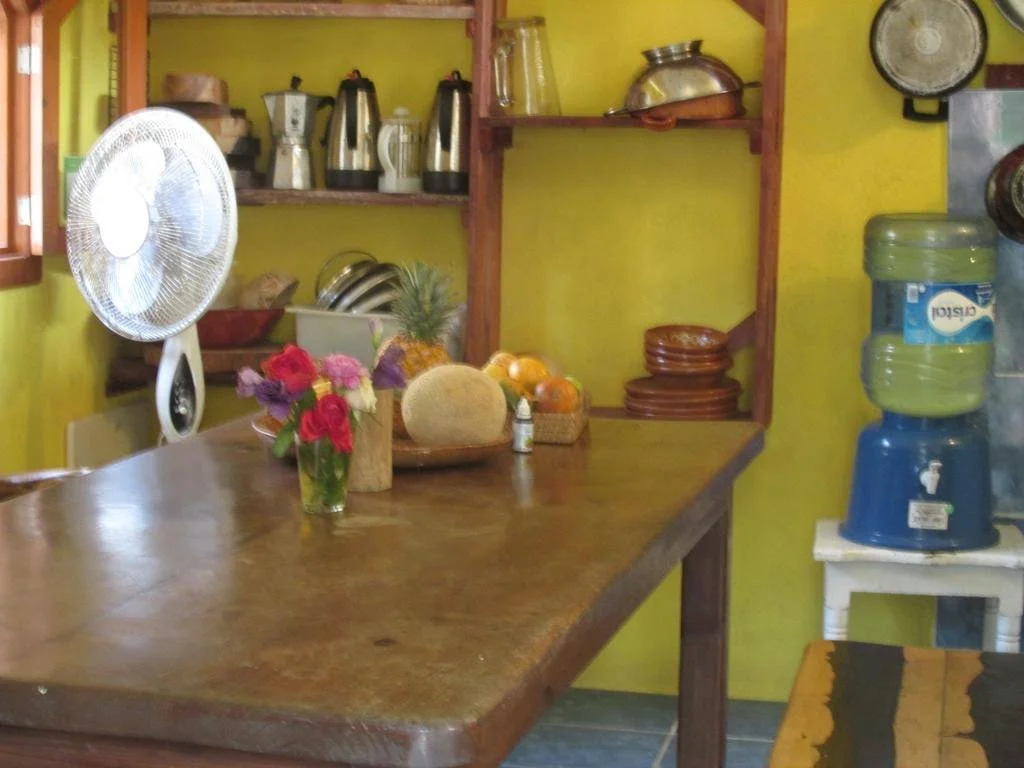 Organic Yoga Mexico