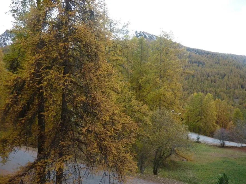 Studio Les Orres, 1 pièce, 4 personnes - FR-1-322-339