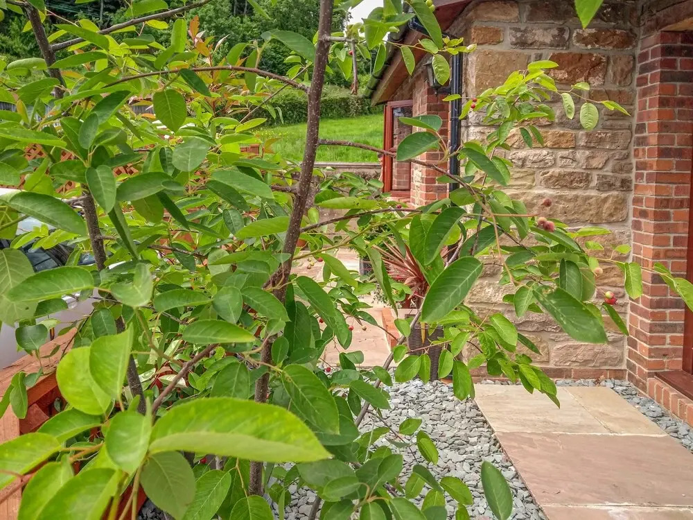 Cottage - Sleeps 2 - Garden