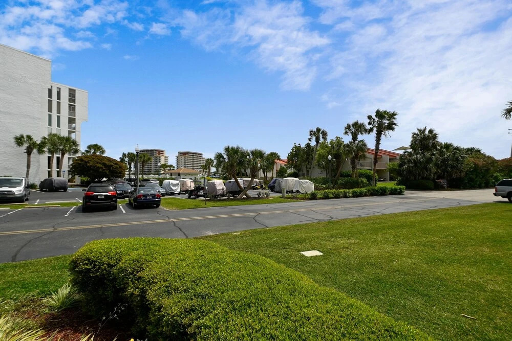 Dolphin Point