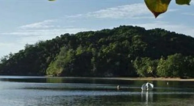 Waisalima Beach Resort & Dive Centre
