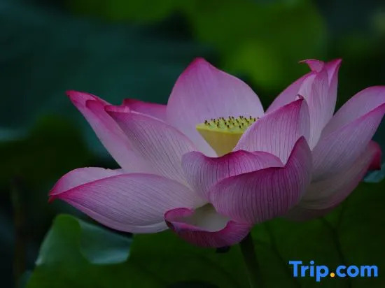 Yujian Xiuli Boutique Homestay