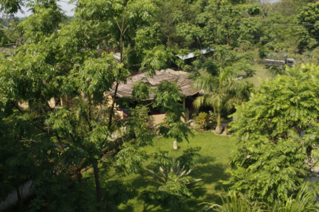 Chitwan Safari Resort