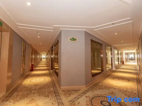 Vienna Hotel (Yuxi Hongta Avenue High-speed Railway Station)