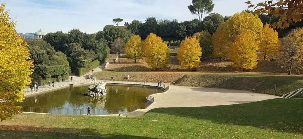 Romana 100