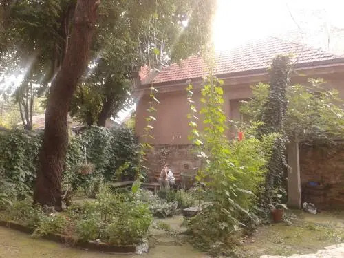 City Oasis Apartment