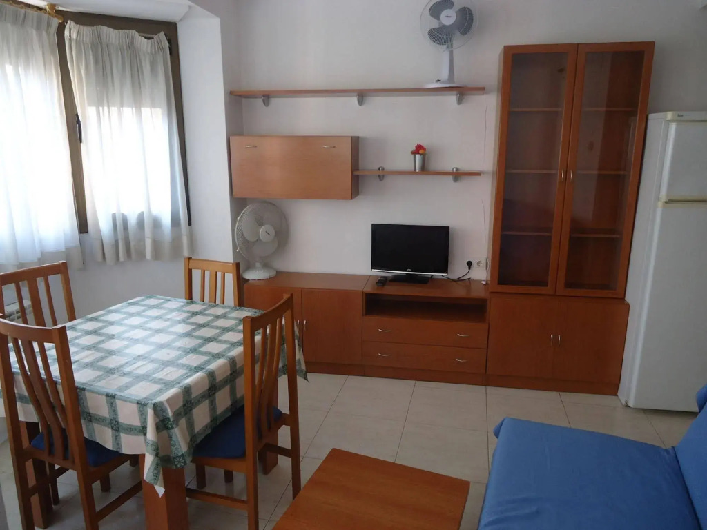 Apartment Playa Centro