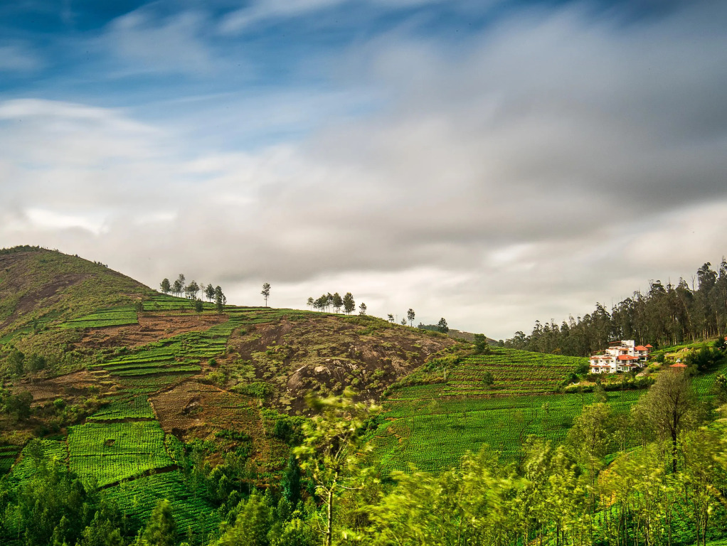Green Nest Resort Ooty