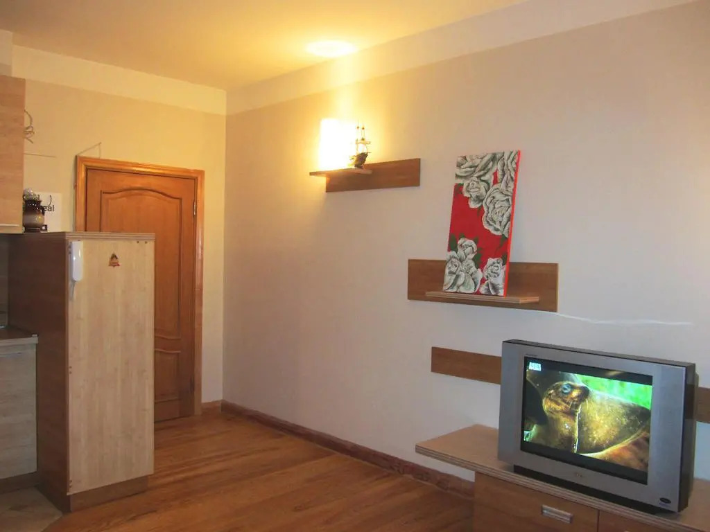 Apartment on Brivibas Street
